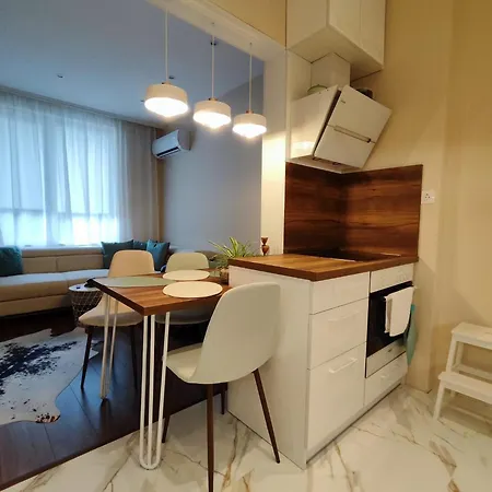 The Modern Life With Terrace * Sofia